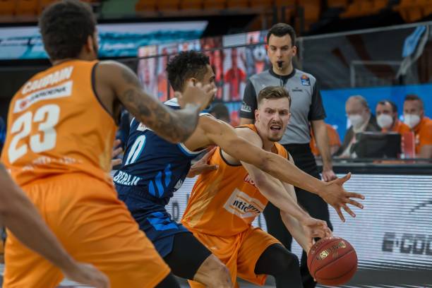 和谐共生的 和谐共生的